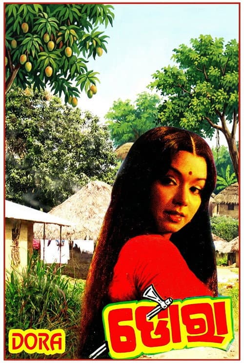 Постер: ଡୋରା