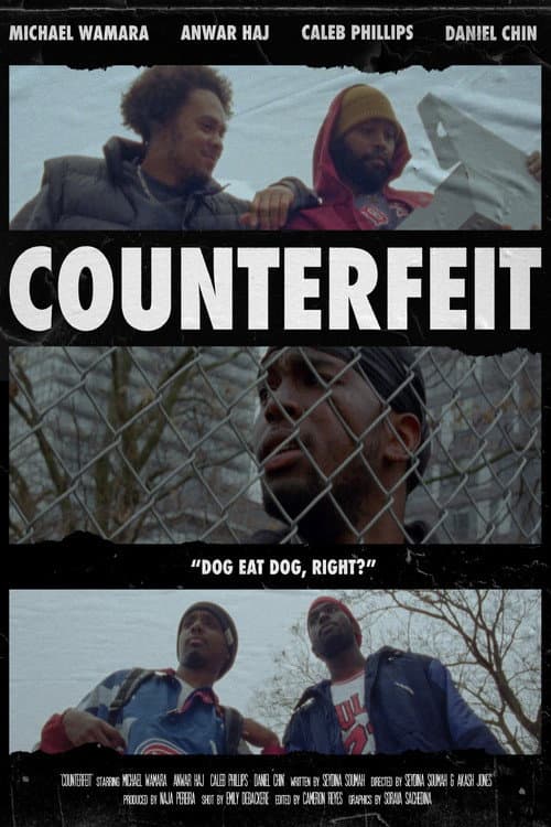Постер: Counterfeit