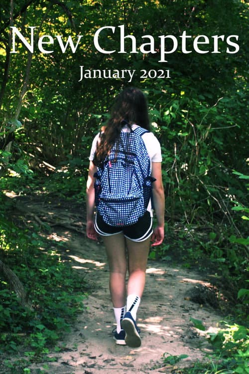 Постер: New Chapters