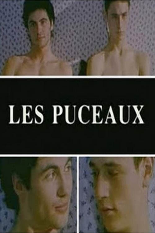 Постер: Les puceaux