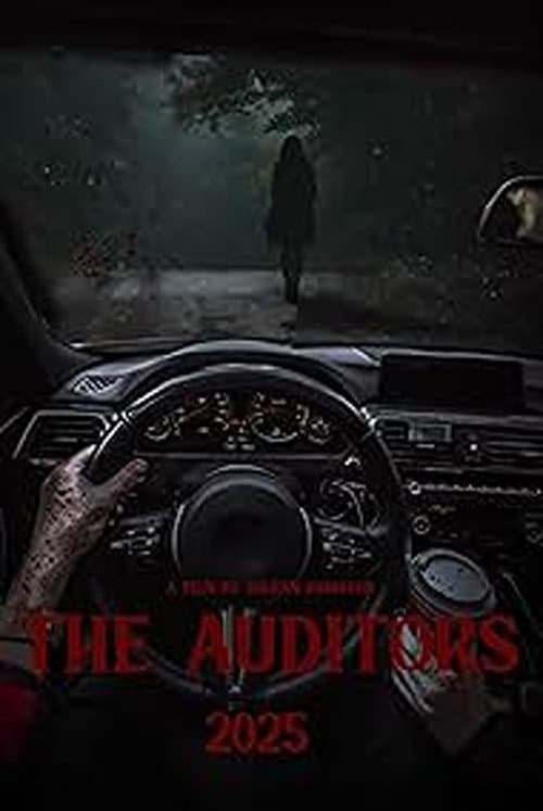 Постер: The Auditors