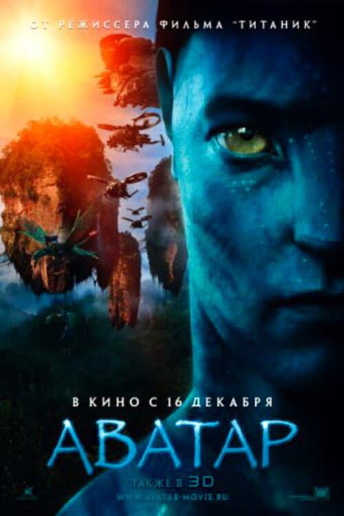 Кадр 13