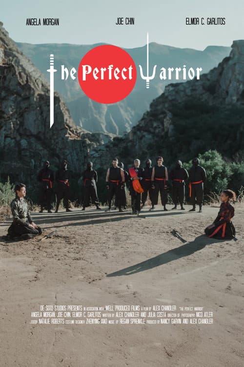 Постер: The Perfect Warrior