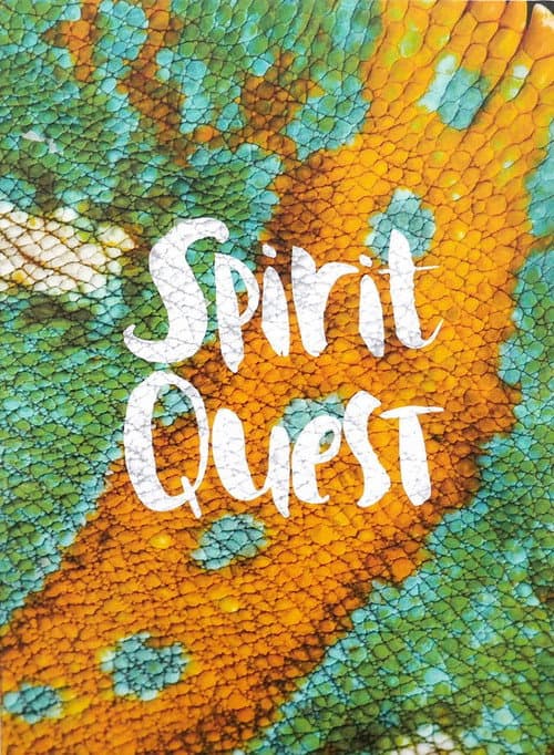 Постер: Spirit Quest