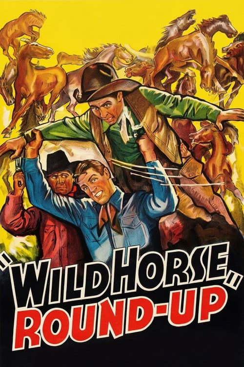 Постер: Wild Horse Round-Up