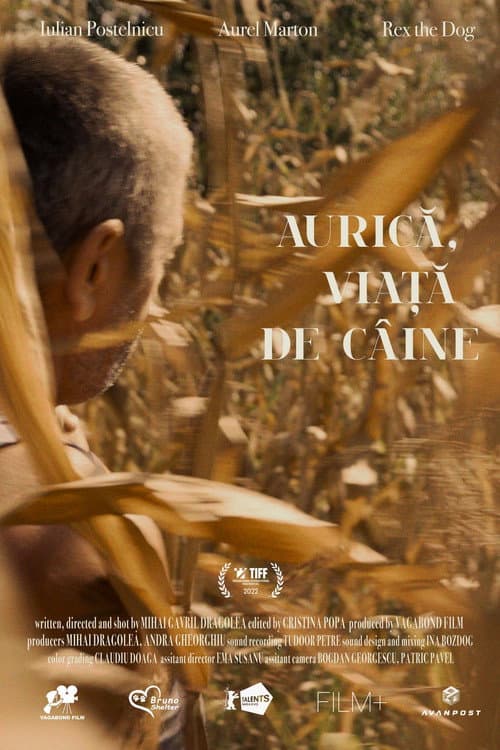 Постер: Aurică, viață de câine