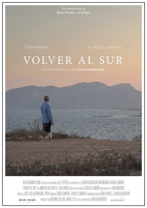Постер: Volver al sur