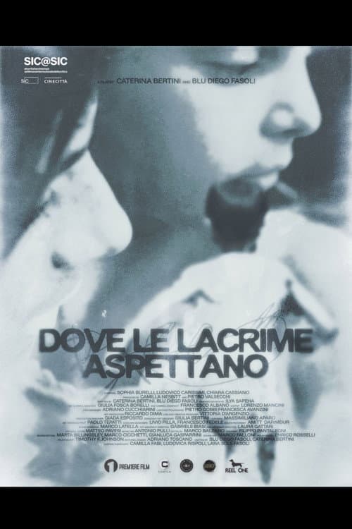 Постер: Dove le lacrime aspettano