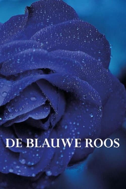 Постер: De blauwe roos