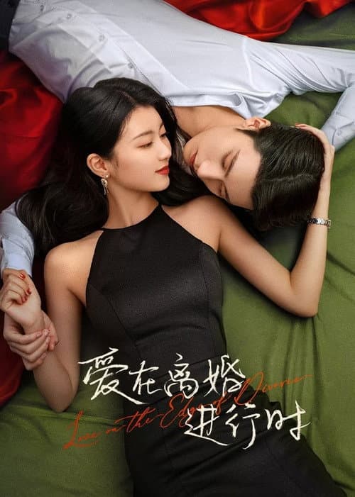 Постер: 爱在离婚进行时