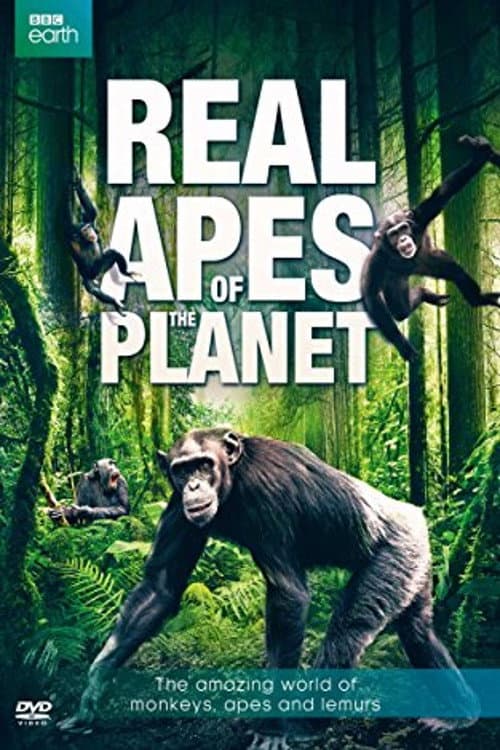 Постер: The Real Apes of the Planet