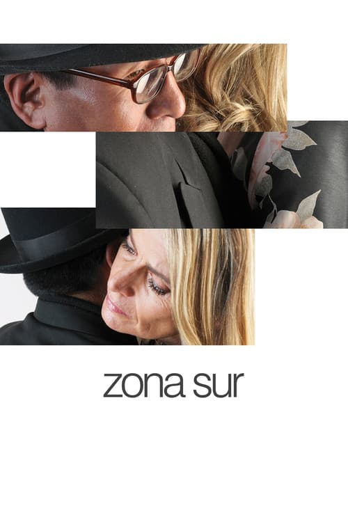 Постер: Zona Sur