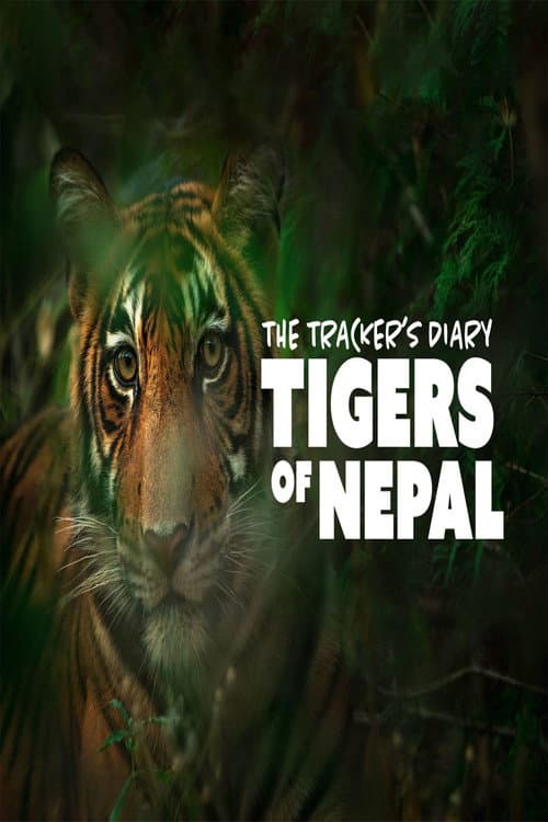 Постер: The Trackers Diary Tigers Of Nepal
