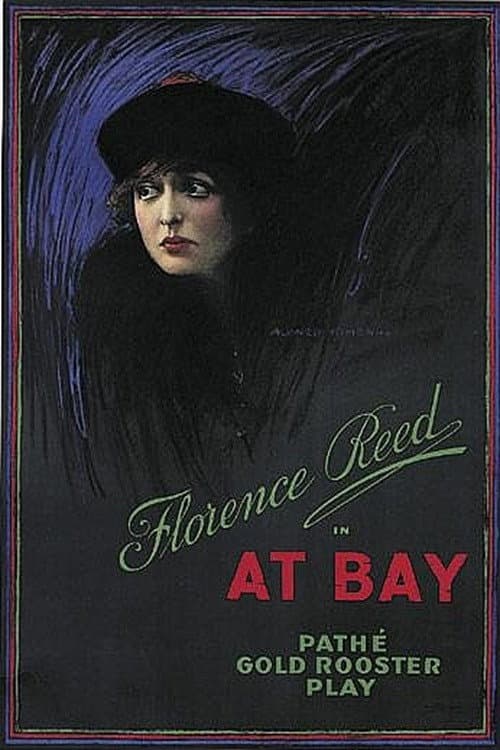 Постер: At Bay