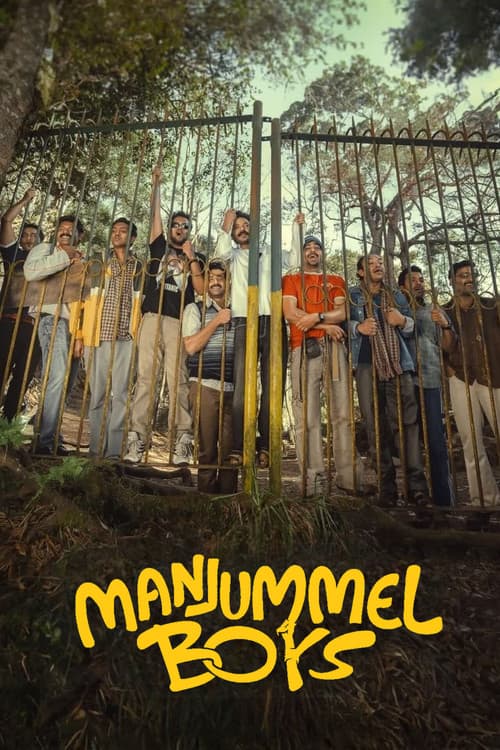 Постер: Парни из Манджуммела