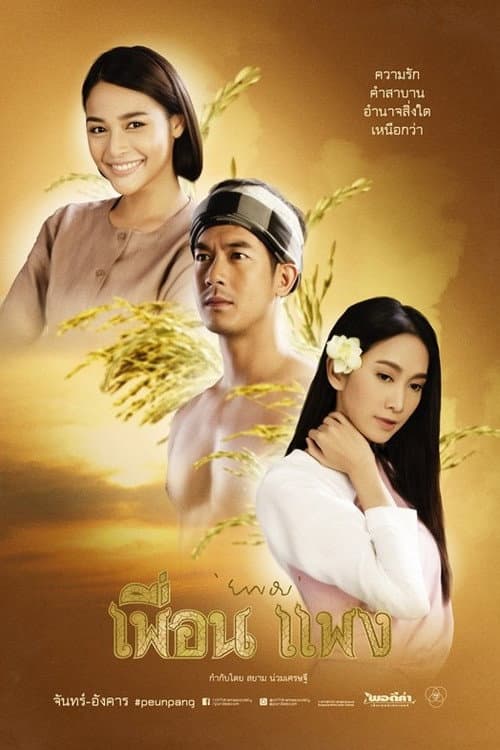 Постер: เพื่อนแพง
