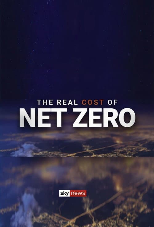 Постер: The Real Cost of Net Zero