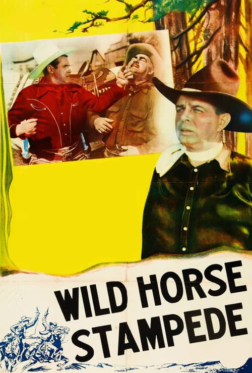 Постер: Wild Horse Stampede