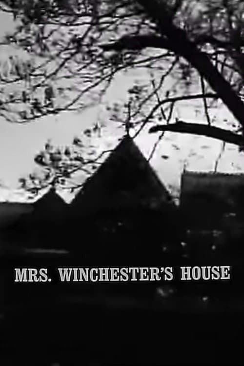 Постер: Mrs. Winchester's House