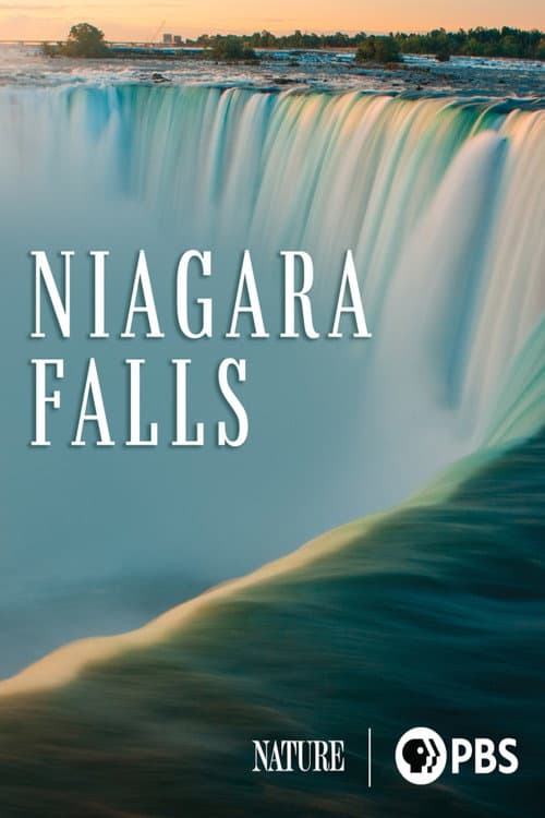 Постер: Niagara Falls