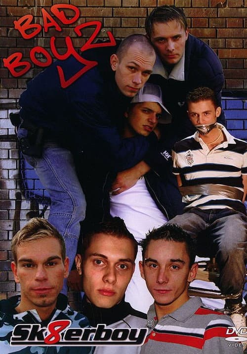 Постер: Bad Boyz