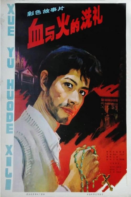 Постер: 血与火的洗礼