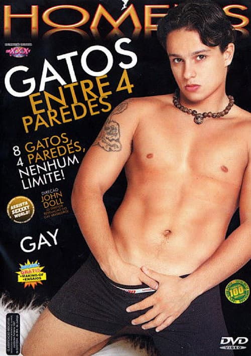 Постер: Gatos entre 4 paredes