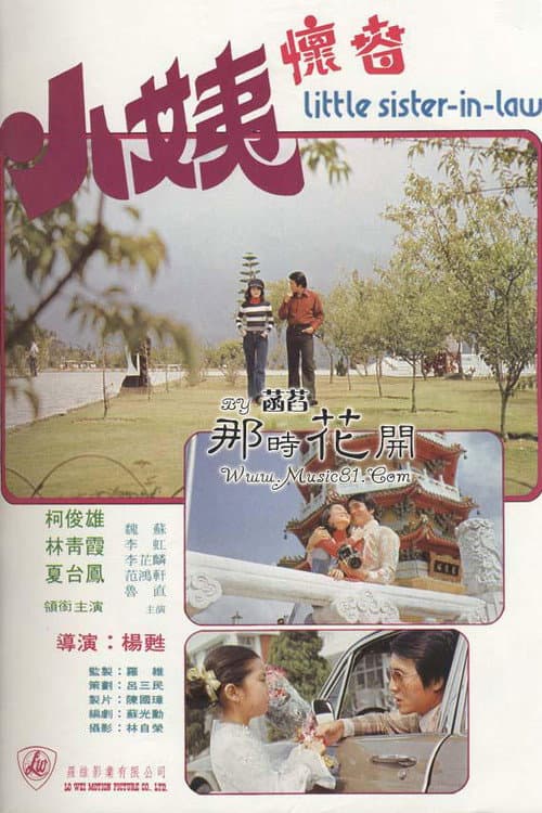 Постер: 小姨懷春