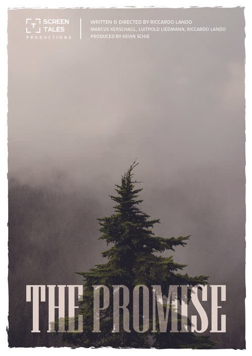Постер: The Promise
