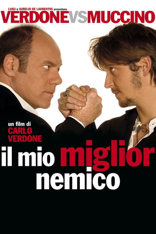 Постер: Il mio miglior nemico