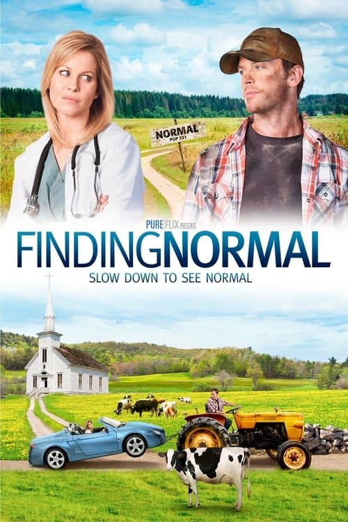 Постер: Finding Normal