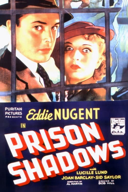 Постер: Prison Shadows