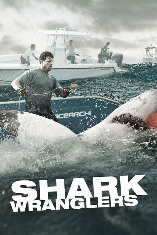 Постер: Shark Wranglers