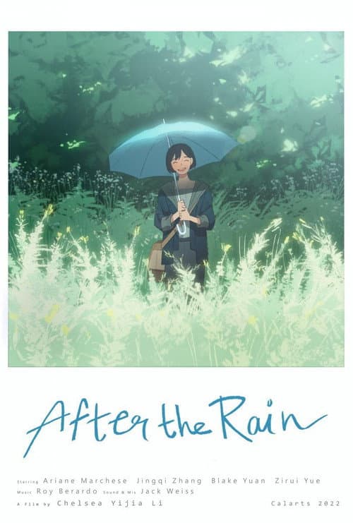 Постер: After the Rain