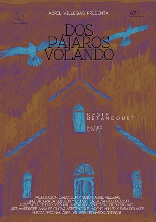 Постер: Dos pájaros volando