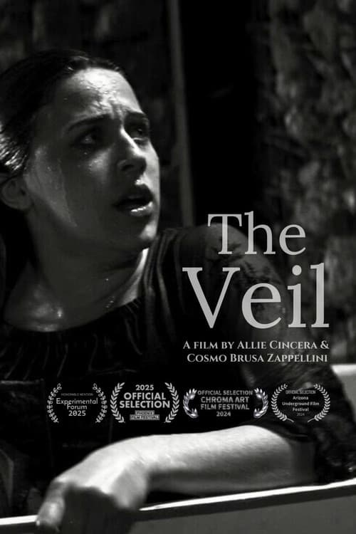 Постер: The Veil