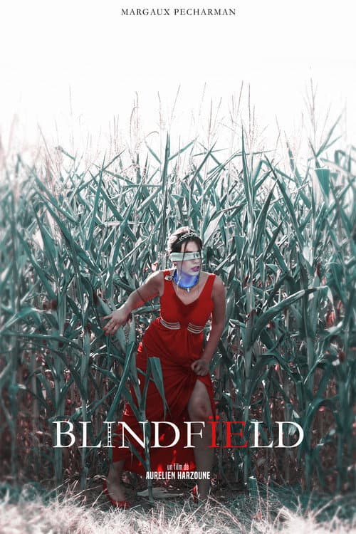 Постер: Blindfïeld