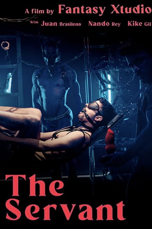 Постер: The Servant