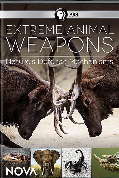 Постер: Extreme Animal Weapons