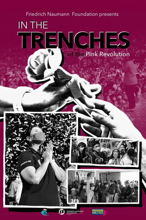 Постер: In The Trenches Of The Pink Revolution
