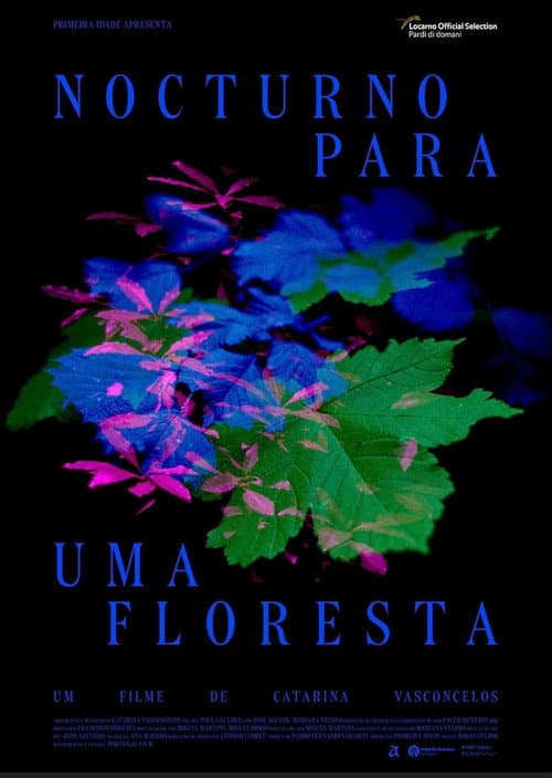 Постер: Nocturno Para Uma Floresta