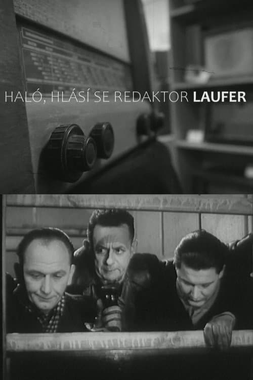 Постер: Haló, hlásí se redaktor Laufer!