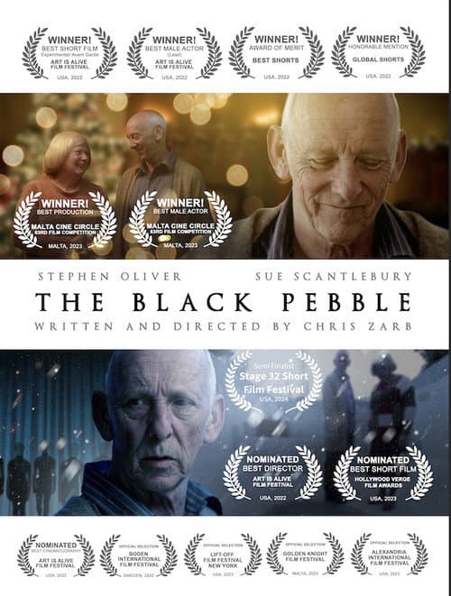 Постер: The Black Pebble