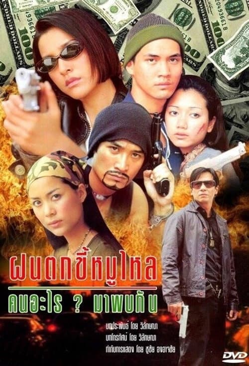 Постер: ฝนตกขี้หมูไหล คนอะไรมาพบกัน