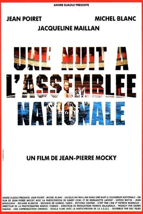 Постер: Une nuit à l'Assemblée Nationale