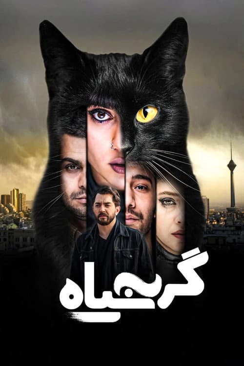 Постер: گربه سیاه