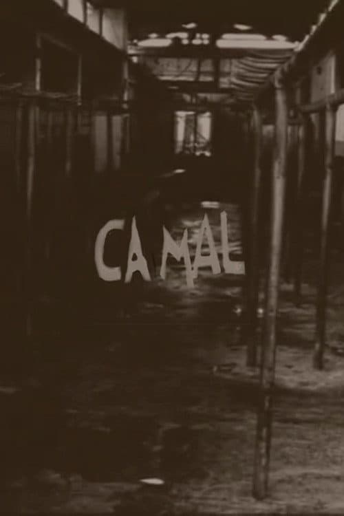Постер: Camal