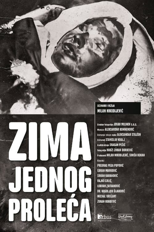 Постер: Zima jednog proleća