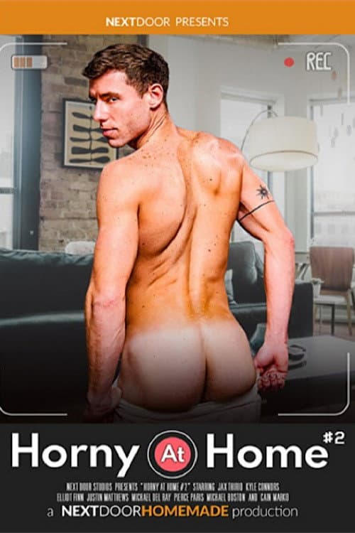 Постер: Horny at Home 2