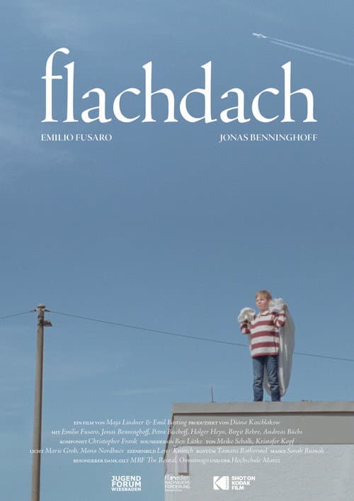 Постер: Flachdach